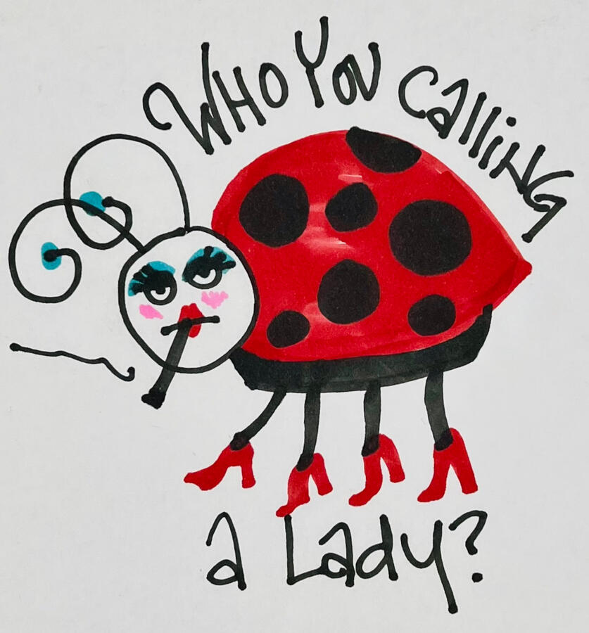 Check out my sassy bug merch (and more) in my Etsy shop!